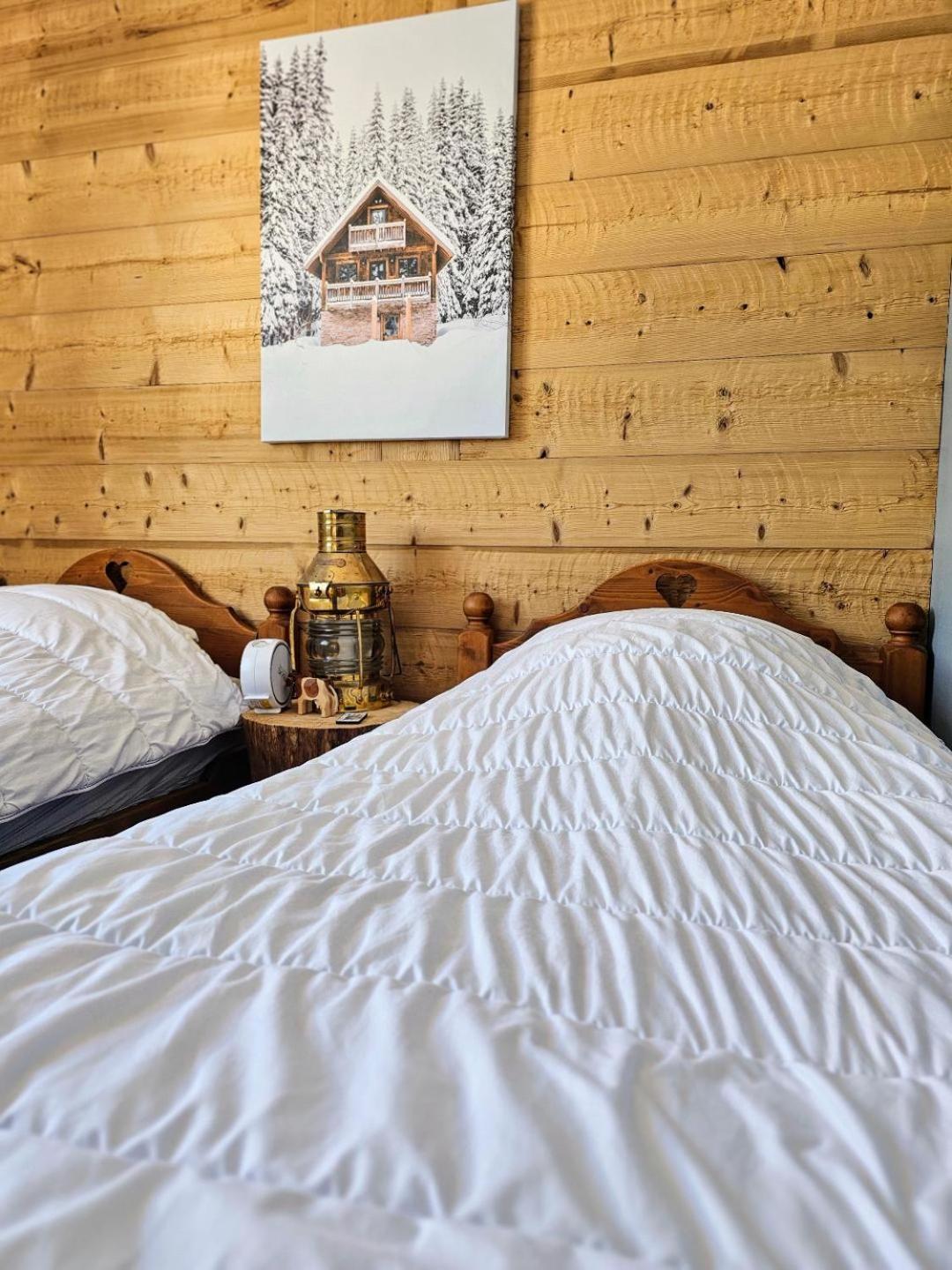 Magnifique Appartement A La Montagne Classe 4 Etoiles ชาเปล-เด-บัว ภายนอก รูปภาพ